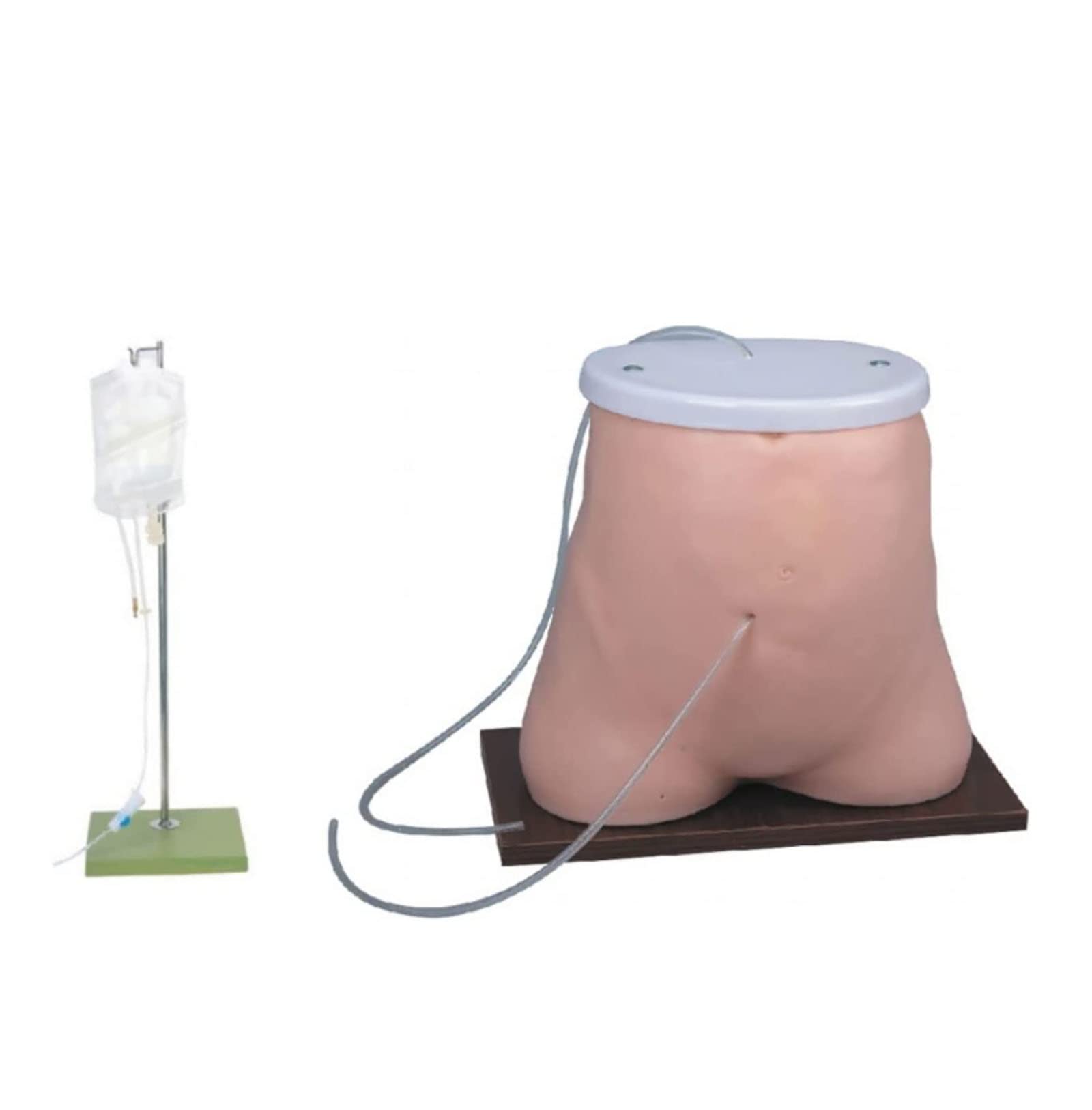 Ludzki model dializy otrzewnowej 55 * 45 * 38Cm Symulator dializy otrzewnowej Model anatomiczny Manekin Brzuch Anatomiczny model opieki nad człowiekiem Edukacja w medycynie