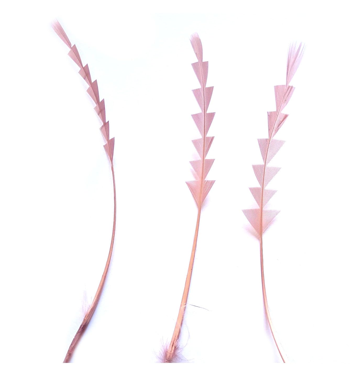 Dusky Pink Zig Zag Goose Feathers x 3, Hand Trimmed for Adding to Fascinators, Hats, Wedding Crafts, Costuming etc - 5 to 6 inch Stripped Stem and 1 to 1.5 inch on The Thin Trimmed Head Part