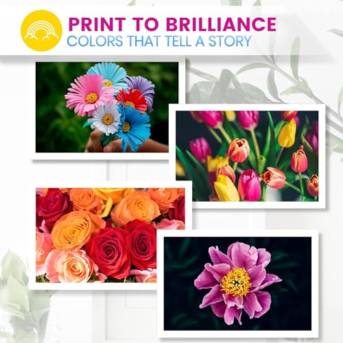 KING OF FLASH 24xl Compatible Ink Cartridges Replacement for Epson 24 XL for Epson Expression Photo XP-970 XP-55 XP-950 XP-860 XP-960 XP-750 XP-760 XP-850 Printer (Black) - Image 2