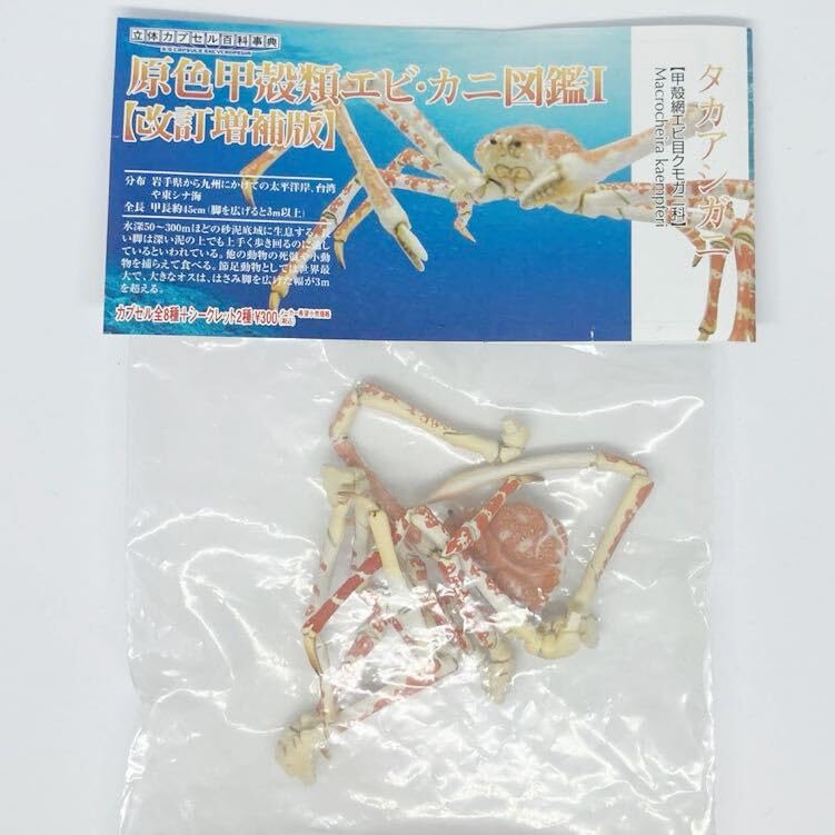 Amazon.co.jp: 原色甲殻類エビ カニ図鑑Ⅰ 改訂増補版 タカアシガニ