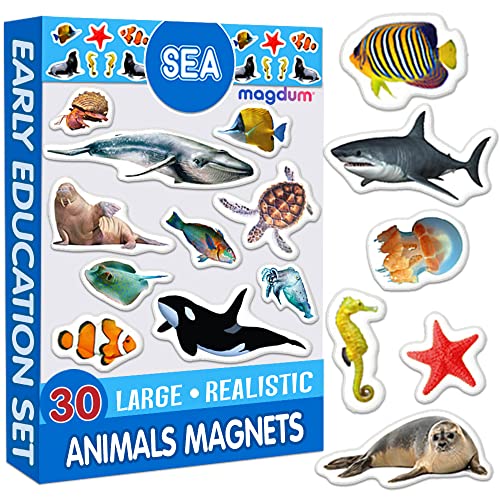 Magnet frigo Enfant MAGDUM Animaux Marins FOTO - 30 Grande Magnet Enfant - Frigo Jouet Enfant 3 Ans - Aimant Frigo Enfant Jouet - Jeu educatif - Emants magnetique - Aimant Tableau Blanc Cover