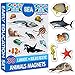 Magneti bambini MAGDUM Animali Marini FOTO -30 GRANDI calamite frigorifero - Giochi educativi - Giochi bambini 3 anni - Giochi animali bambini 3 anni - Giochi magnetici per bambini - Calamite bambini