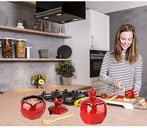 Gabroc Salt Cellar Salt Box 2 Pcs Salt Container Salt Pig Red Salt Bowl Salt Cellar With Lid Spoon Ceramic Pomegranate Shaped #TOP2