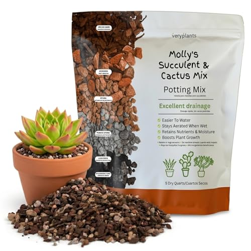 Mollys Succulent Mix - Premium Gritty Soilless Potting Mix for Succulents Cactus and Bonsai - Contains Akadama Hyuga Bark Fines Pumice Lava Rock Mycorrhizae 5 Dry Quarts