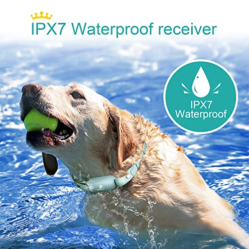 Bousnic Shock Collar for Dogs - Waterproof Rechargeable Dog Electric Training Collar with Remote for Small Medium Large Dogs with Beep, Vibration, Safe Shock Modes (8-120 Lbs) (Green) - Image 4