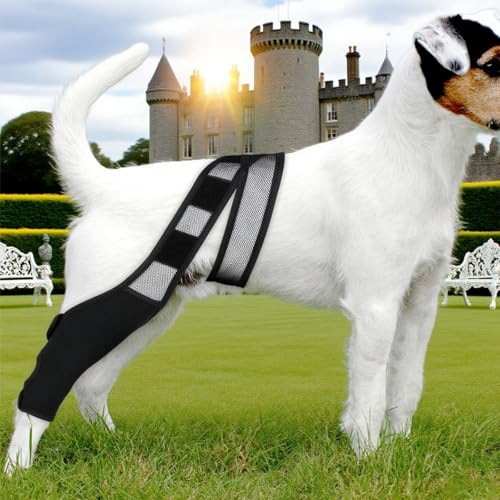 Shwdsy Gummi Verband Hund, Verstellbar Leckschutz Hund Hinterbein, Schwarz Hundebeinschutz, zur Stützung und zum Schutz der Vorder- und Hinterbeine von Hunden