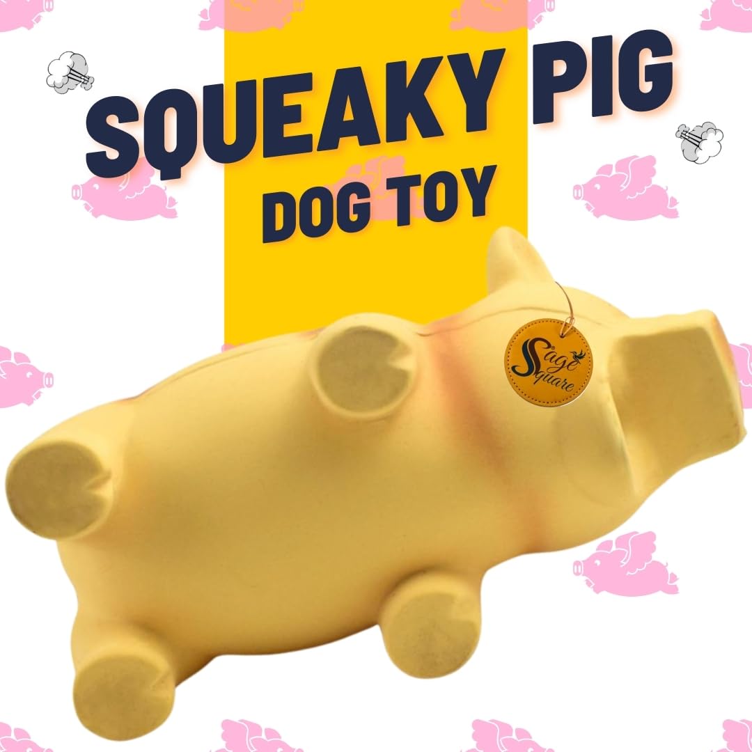 Sage Square Squeaky Rubber Pig Toy for Dogs & Cats: Unleash The Chew Cravings with Loud Squeak, Entertained for Hours, Interactive Rubber Toy, Tugs and Squeezes, Barking Glees, Fun with Pig 1