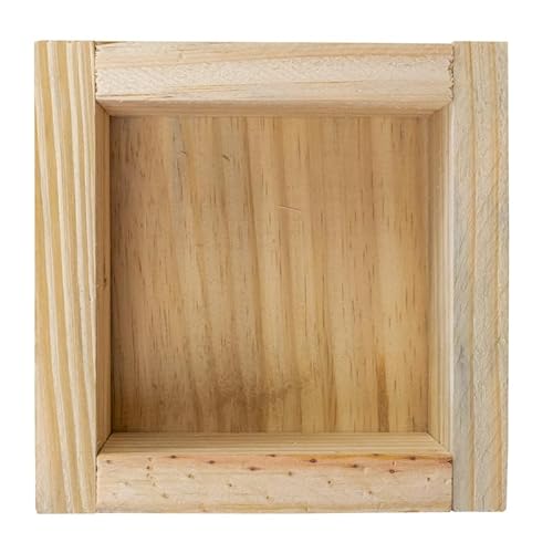 Caixa Abelhas sem ferrão modelo INPA 10x10 Jataí Mirim Pinus