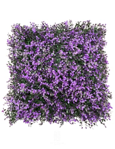 Catálogo para Comprar On-line Deco Pvc , listamos los 10 mejores. 45 DECO PVC Muro Verde para Pared, follaje Artificial Sintetico, Interior y Exterior, 50 x 50 cm, Resistencia UV (ARRAYAN Morado)