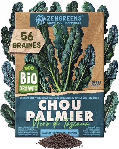 ZenGreens® – Graines de chou palmier bio - Semences potagères - Graines de légumes pour une culture facile au jardin, sur le balcon ou dans un potager surélevé - Nero di Toscana