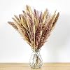 Pampas Grass Dried Wheat Bouquet-17 inch Dried Flowers for Vase| Bohemian Decor| Dried Floral| Dried Grass| Farmhouse…