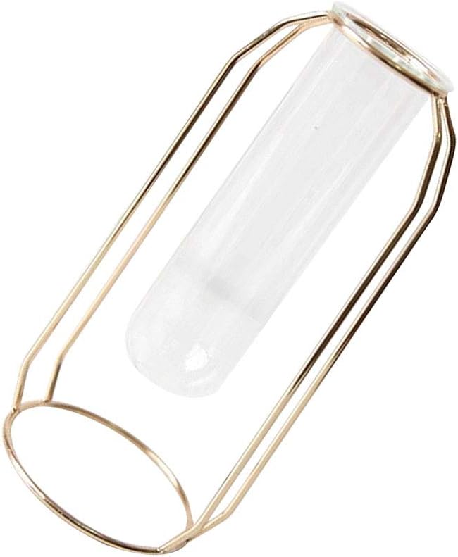 Glass Vases Metal Rack Stand Clear Flower Vase Set, Nordic Style Geometric Shape Glass Iron Art Vase Plant Containers for Dry Flower Holder Home & Wedding Decoration