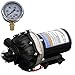 Everflo EF3000 12V Demand Diaphragm Pump with 100 PSI Pressure Gauge (Bundle, 2 Items)
