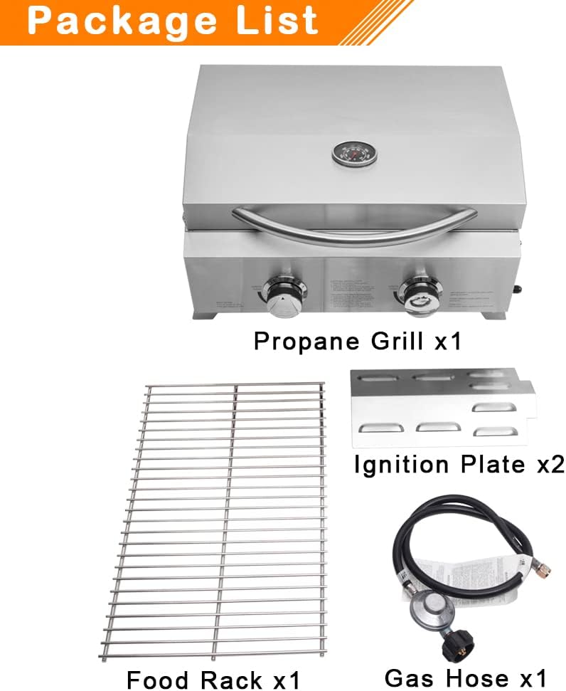 Stainless Steel 2-Burner Portable Propane Gas Grill