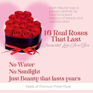 Preserved flowers heart shape box 16 preserved roses immortal red roses gift for her eternal fresh flowers for mothers day women valentines day gifts for wife  urban country home decor