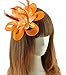 Coolr Fascinator Hair Clip Cocktail Headwear Flower Bridal Headpieces (Orange )
