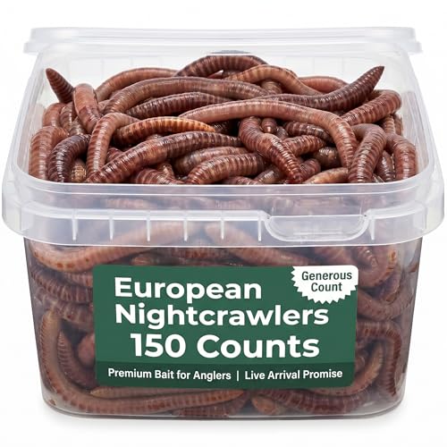 BESTBAIT 150 Count Super Red European Nightcrawlers for Composting and Garden Soil Aeration Large Nightcrawlers Improve Soil Structure and Quality for Healthier Gardens