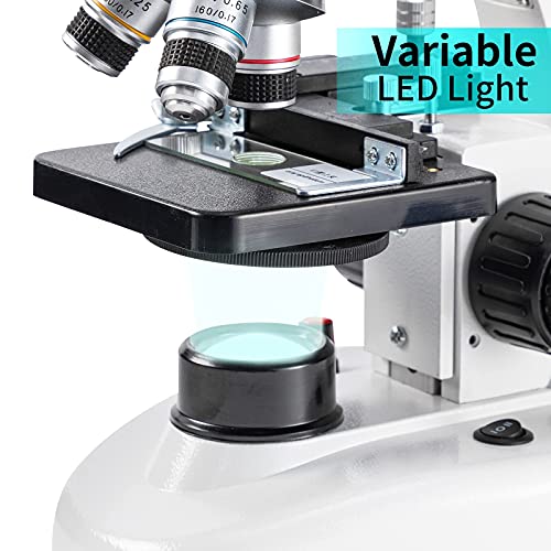 Compound Binocular Microscope,Wf10X And Wf25X Eyepieces,40X-2000X Magnification, Led Illumination Two-Layer Mechanical Stage,Microscope For Adults #TOP3