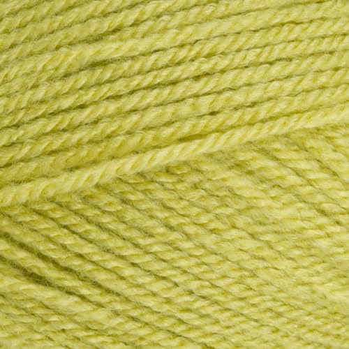 Stylecraft Special DK Yarn 100g - Pistachio 1822