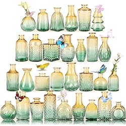 ESON CASA Juego De 30 Jarrones De Cristal, Pequeños Jarrones Para Flores, Ini Jarrones Para