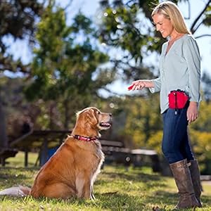   Company-of-Animals-Treat-Bag-Purple-Zipped-Pockets-Drawstring-Clips-on-Belt-Waistband-or-Pocket-Waterproof-Treats-Pouch-Ideal-for-Dog-Walking-Puppy-Training