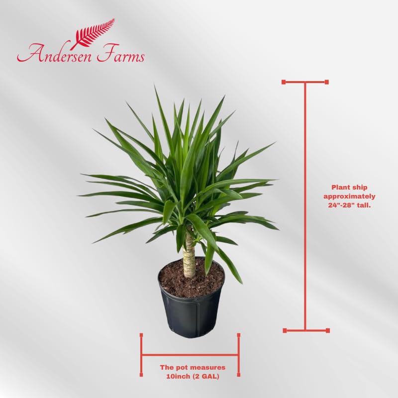 15 gallon plant pots Gro Pro Premium Nursery Pot main image 1