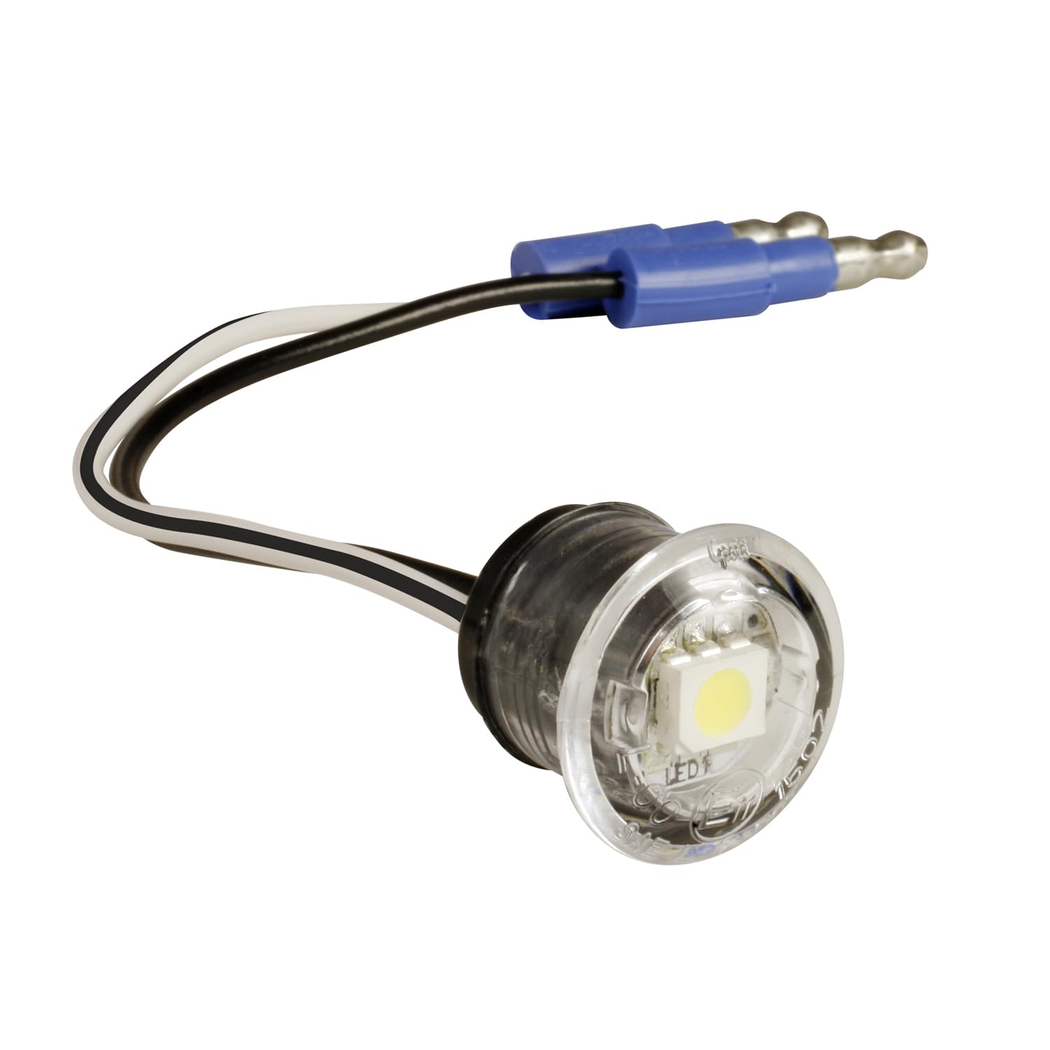 Amazon.com: Grote 60651 MicroNova Multi-Volt Dot LED License Light