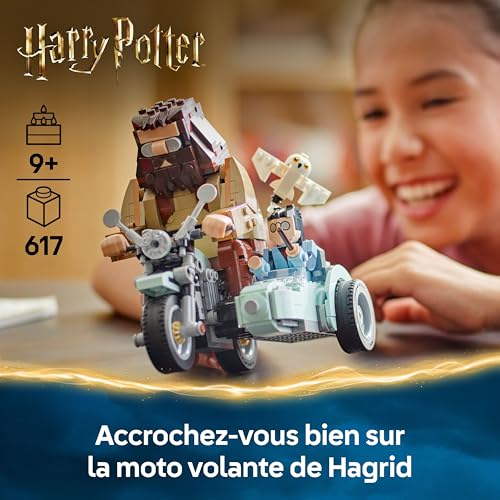 Lego La Balade En Moto De Hagrid 76443 Lego La Boite - vue 6