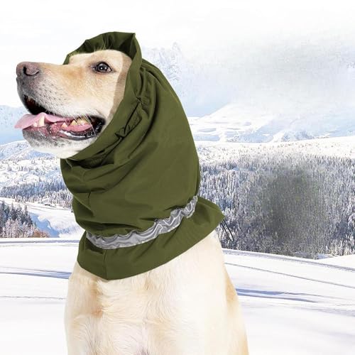 Wyhqgn plbNEH[}[ƃC[Jo[ XJ[t pwbhJo[ AEghAp, S