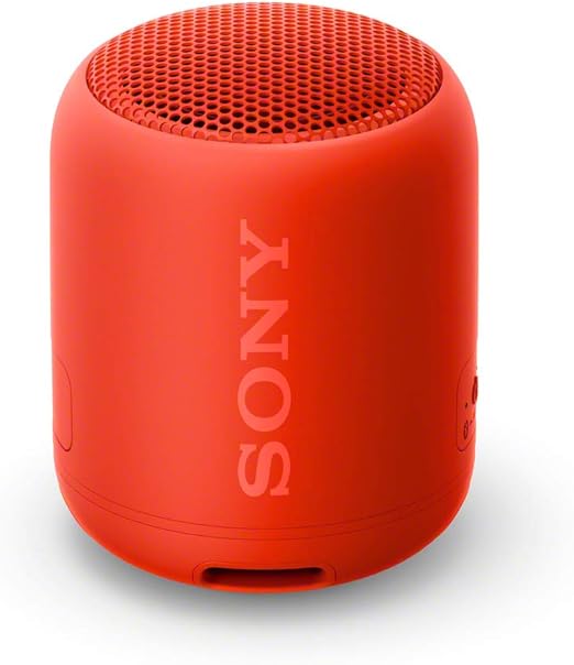 Sony SRSXB12, Compact & Portable Waterproof Wireless Speaker with