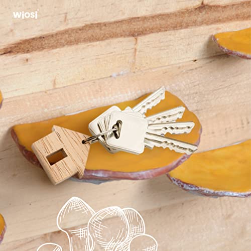 Set Of 5 Mini Mushroom Floating Shelves - Adhesive, Cottage Core Room, Kitchen Decor, Gecko Tank Accessories - 1 To 3 Inches With Smooth Edges, Multicolor #TOP7