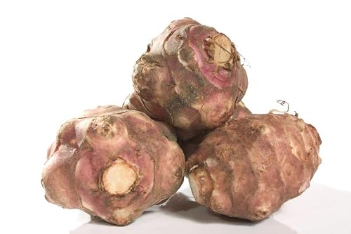 Fresh Organic Jerusalem Artichokes, 5 Tuber Pack, Raw Sunchokes for Planting or Eating, Natural Sunroot Vegetable
