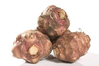 Fresh Jerusalem Artichokes, 5 Tuber Pack, Raw Sunchokes for Planting or Eating, Natural Sunroot Vegetable