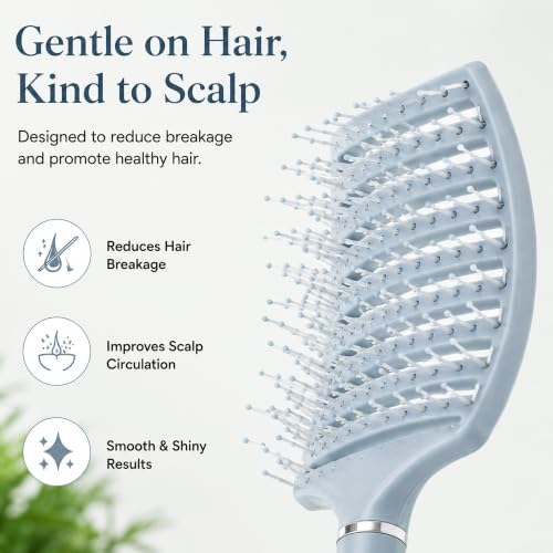 Image of GLUN Portable Detangling Hair Brush Pack of 1 Blue Colour, Curly & Straight Hair Brush for Women & Men Accessories Use in Salon, Home & Personal Use