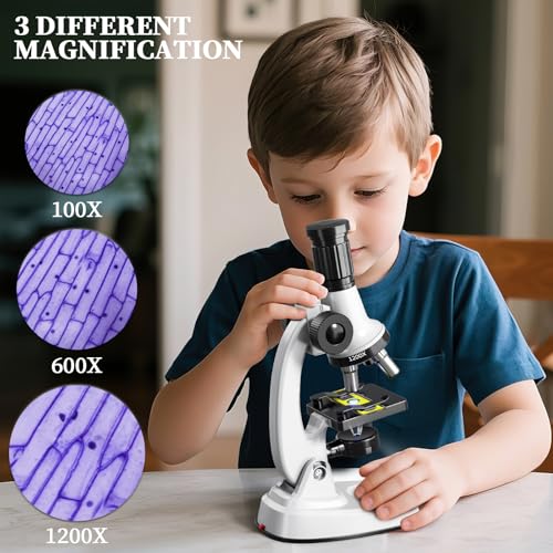 Jouets pour microscope à haute clarté visuelle et éclairage réglable - 4