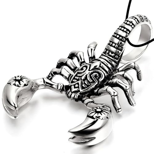 XR[sI T\ vRlbNX y_g ANZT[ Y fB[X  