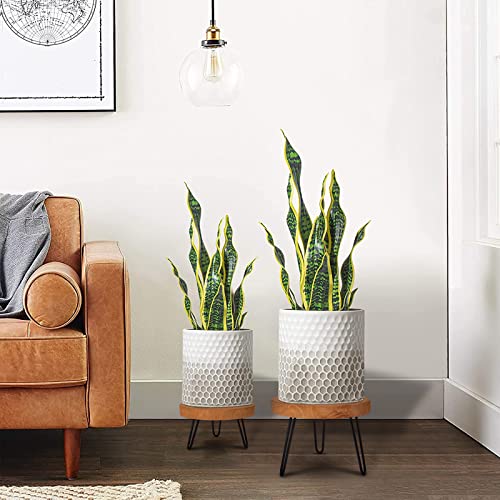 Athaliah Wood Plant Stand, 2 Pack Wooden Plant Stool Indoor, Mini Mid Century Modern Plant Flower Holder For Rustic Home Garden Patio Office Table Decor #TOP7