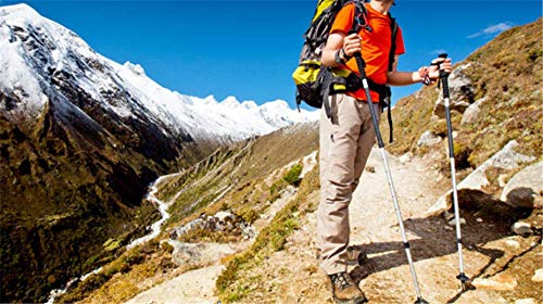 Bastones de trekking telescópicos ultraligeros con mango recto para senderismo y montaña 5