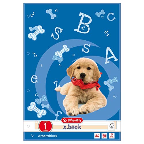 Preisvergleich Produktbild herlitz Arbeitsblock X-Book, DIN A4, Lineatur 1 VE=1