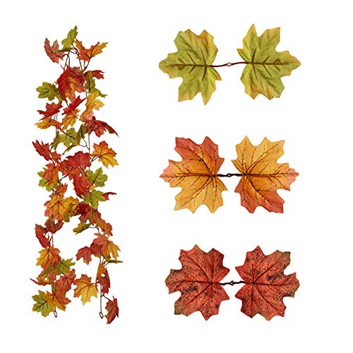 Los 10 mejores libros sobre Acción de Gracias 【2022】 ️