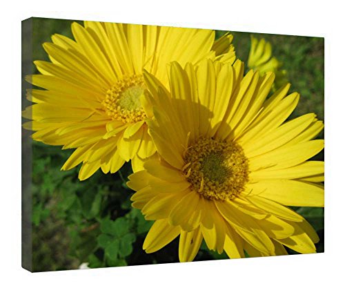 Toile marguerite jaune encadrée bois pour illuminer la décoration de votre salon