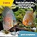 sera Discus Prob Granules 4 oz. | Complete Growth Food for Discus Fish | with Probiotics & Astaxanthin | No Dyes & Preservatives Consisting of Soft Granules | Supports Immune System