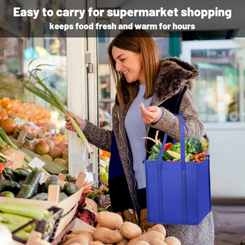 Reusable 10-Pack Foldable Thermal Bags