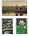 National Parks (Sheet of 16) First-Class Mail Forever Postage Stamps 2016 Scott #5080