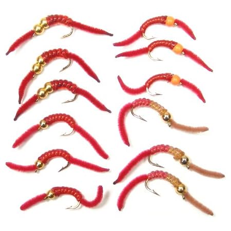 trout fishing with worms