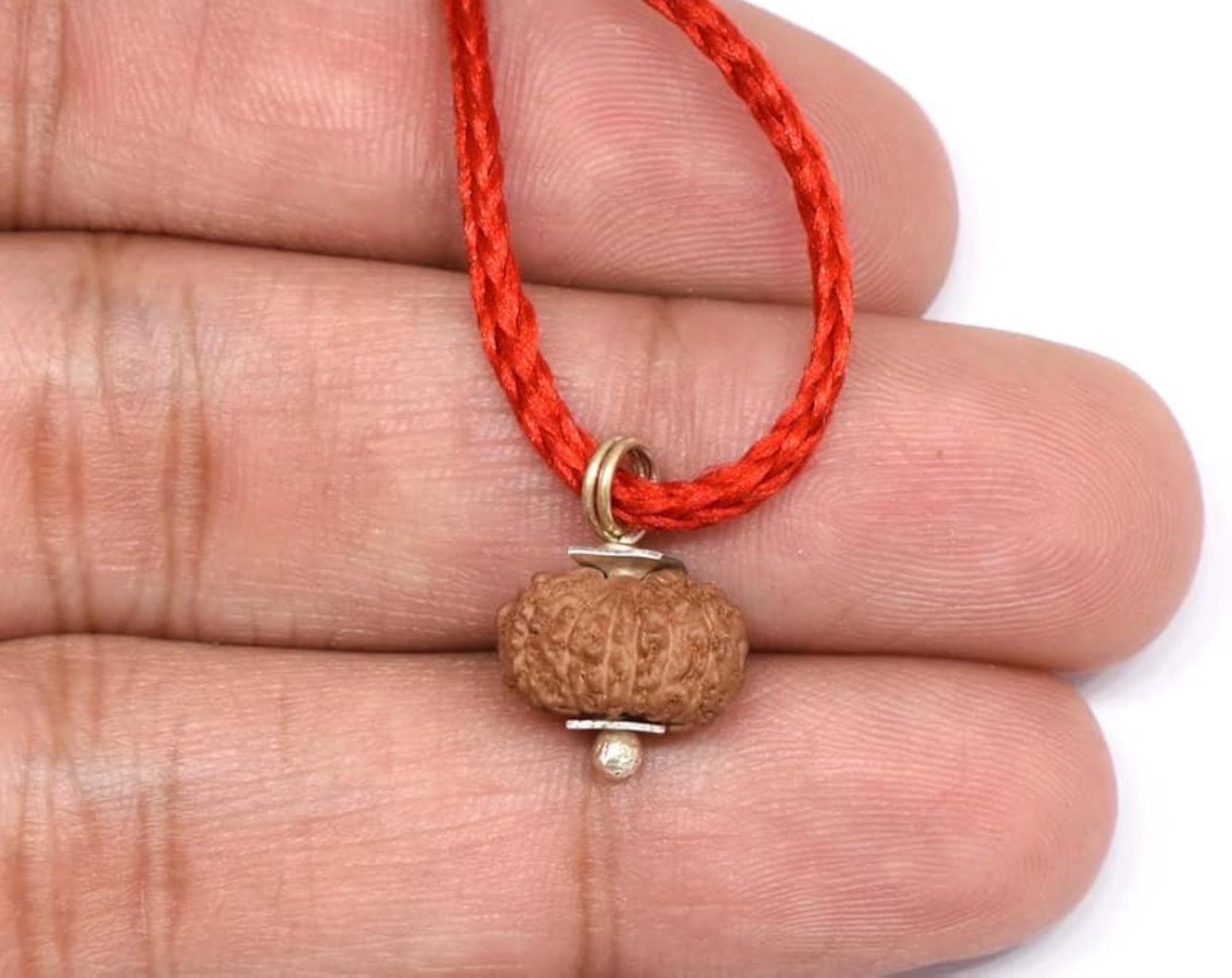 Original 14 Mukhi Indonesian Rudraksha