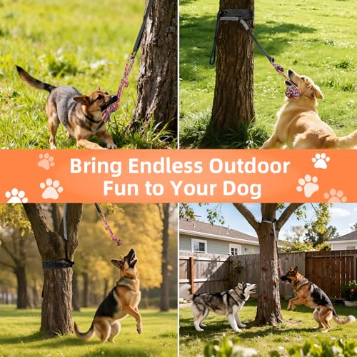 Tivray Bungee-Ziehspielzeug für Hunde, Outdoor-Hundespielzeug zum Aufhängen mit 3 Kauseilen, Interaktives Zugseil für kleine, mittlere & große Hunde zum Spielen & Trainieren am Baum, Schwarz+Grau