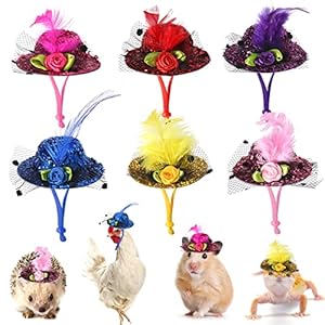 Keymall Chicken Hat for Hens 6pcs M...