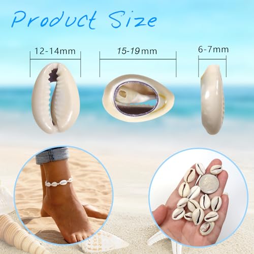 TOAOB Pack of 200 Natural Shell Beads 15 to 19 mm Seashells Kauri for DIY Jewellery Making Deco Crafts Grey - Image 2