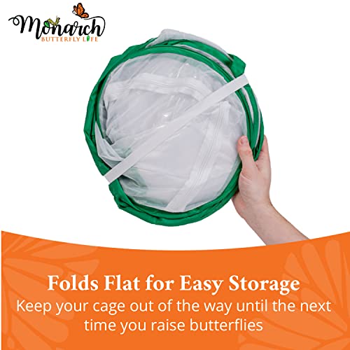 image for Tall Baby Clear Mesh Butterfly Cage with Drawbridge Open Door | 14”L